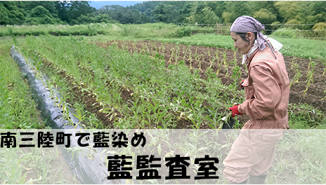 【日にち限定募集】「藍監査室」おでって
