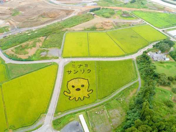 田んぼアート2018終了