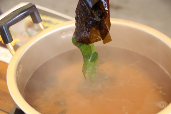 brown seaweedの季節です